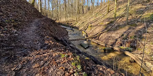 Pilait\u0117s \u017eygis