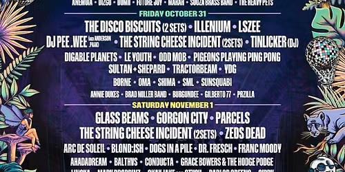 Goose - The Band - 2 Day Pass