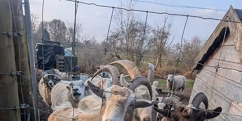 December Volunteer Session