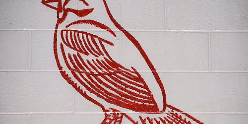 Redbird Raffle $10,000 giveaway