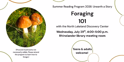 Foraging 101 with the North Lakeland Discovery Center