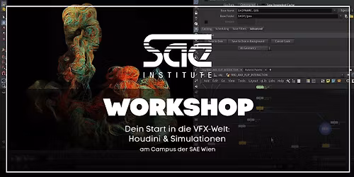 Dein Start in die VFX-Welt:  Houdini & Simulation Workshop -  SAE Wien