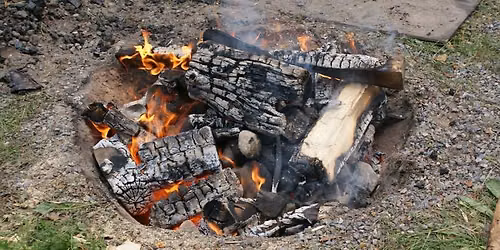 PIFS Family BBQ & Adventure activities