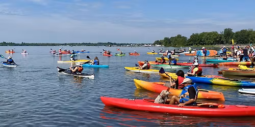 Paddles Up Niagara