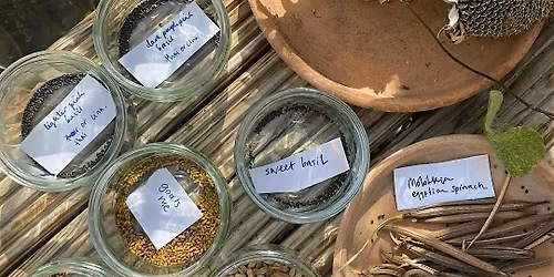 Tea Making with Hackney Herbal