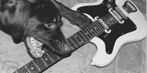 FANKLUB Indie Party im ono2