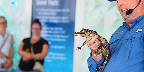 Wildlife On The Move at Reunion Tower