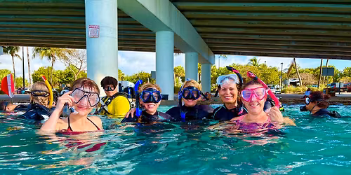 Diving and snorkeling Blue Heron Bridge