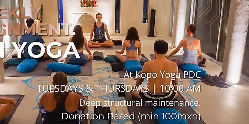 Yin Yoga - Donation Based