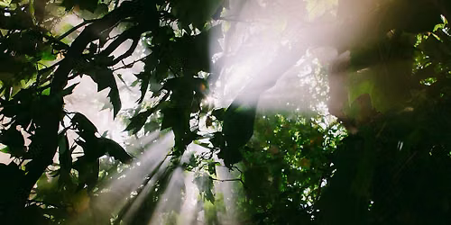 Light Beyond Shadow:  A Musical Journey