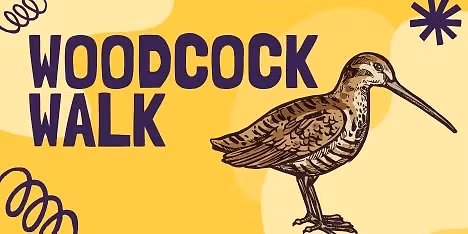 Woodcock Walk