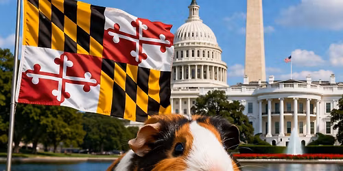National Capital partnership Cavy Show 