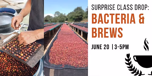 Bacteria & Brews