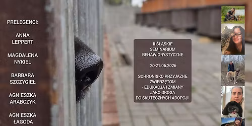 Schronisko Przyjazne Zwierz\u0119tom - edukacja i zmiany jako droga do skutecznych adopcji 