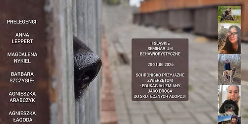 Schronisko Przyjazne Zwierz\u0119tom - edukacja i zmiany jako droga do skutecznych adopcji