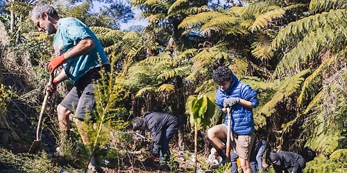 Fruitvale Stream Community Planting