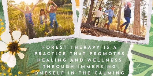 Forest Therapy for Kids!