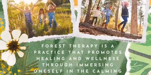 Forest Therapy for Kids!