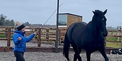 Communication, Connection & How To Ask