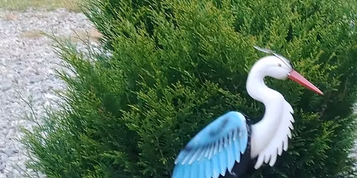 LATO ZE SZTALUG\u0104.  Weekend Tw\u00f3rczego zatrzymania w lesie & Spa. 