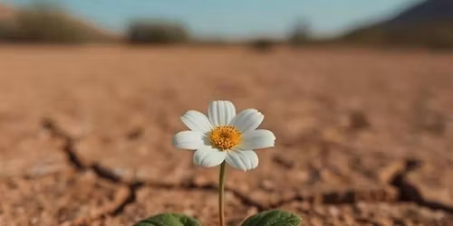Women's Conference: Resilience in Christ \/ Resiliencia en Cristo