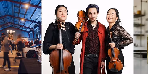 Delirium Musicum Chamber Orchestra