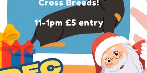 December Dachshund Meet