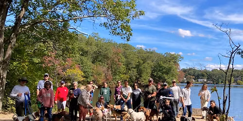 Hound & Beagle Trail Walk