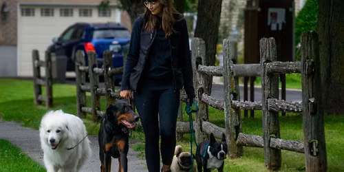 June Community Pack Walk