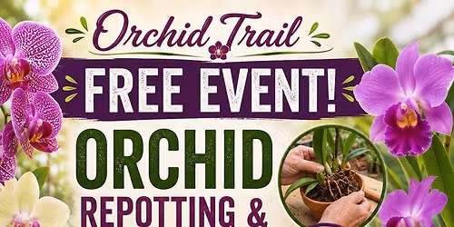 Orchid Repotting & Mounting - FREE