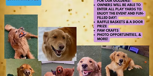 \ud83d\udc3e\u2728Golden Day 2026\u2728\ud83d\udc3e