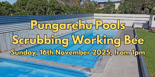 Pungarehu Pools - Scrubbing Working Bee