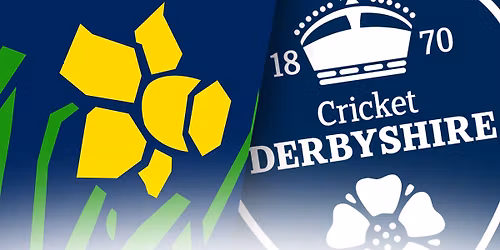 Vitality Blast: Glamorgan Women vs Derbyshire Falcons Women
