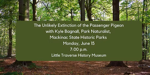 The Unlikely Extinction of the Passenger Pigeon