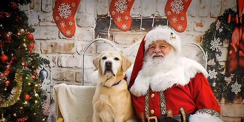 Selfies with Santa at Red Dog Boston