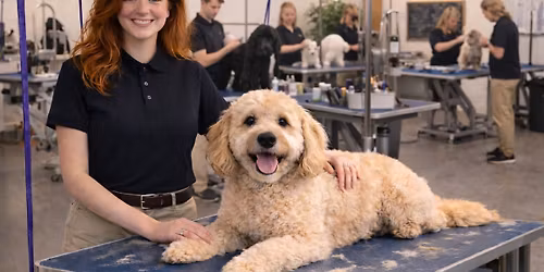 \u2702\ufe0f Turn Your Passion for Dogs Into a Career April 20 \u2013 May 15 at Dog Grooming School of Pennsylvania