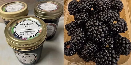 Cook Fresh:Eat Fresh! Blackberry Jelly class