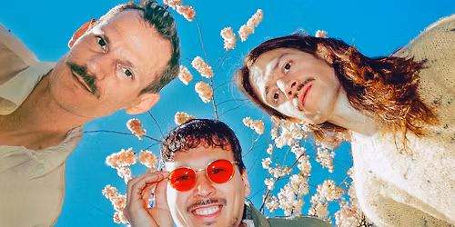 L\u00f6wenzahnhonig | Future Yard