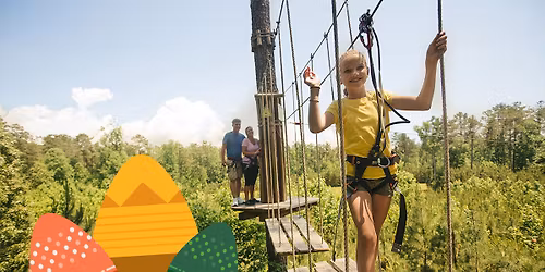 Easter Egg Hunt: A Spring Adventure in the Trees!