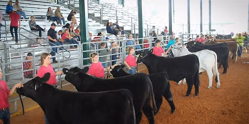 Farm City Week Beef Workshop and Prospect Show