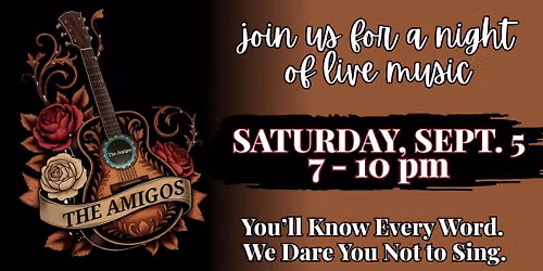 The Amigos - Live Music