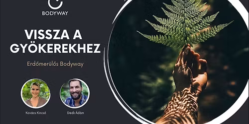 Vissza a gy\u00f6kerekhez-Erd\u0151mer\u00fcl\u0151s Bodyway - A Bodyway - Nondu\u00e1lis \u00d6nismeret Egyes\u00fclet szervez\u00e9s\u00e9ben