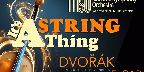 Macomb Symphony Orchestra at Macomb Center