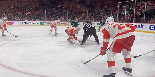 Minnesota Wild vs. Anaheim Ducks