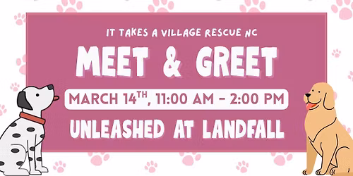 Meet and Greet with It Takes a Village