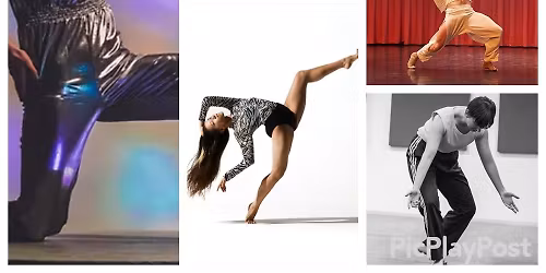 Stephanie Lake Company at Place Des Arts - Theatre Maisonneuve