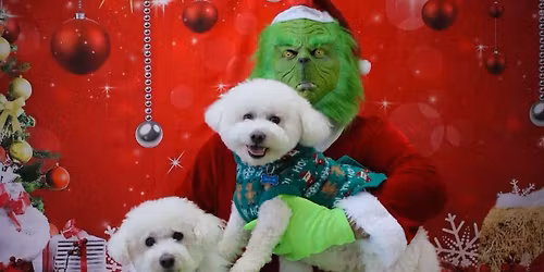 Grinch is Back for a photo op with the fur children 