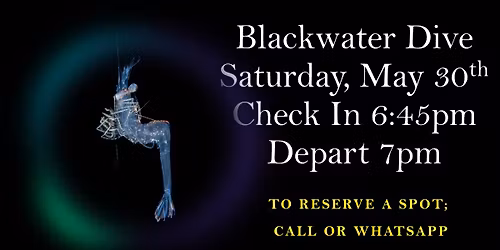 Blackwater Dive!