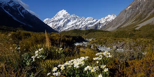 Aoraki Spring Flowers (3 day Workshop)