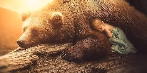 \u2744\ufe0f Trancereiscirkel \u2013 Winterslaap & de Wijsheid van Beer \u2744\ufe0f Een helende reis naar binnen